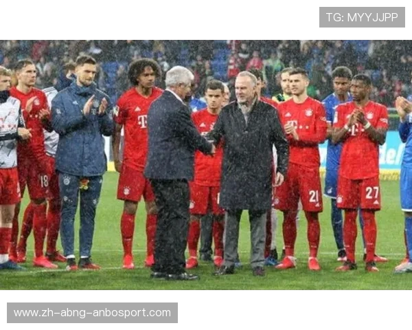 德甲球队无老板现象探讨