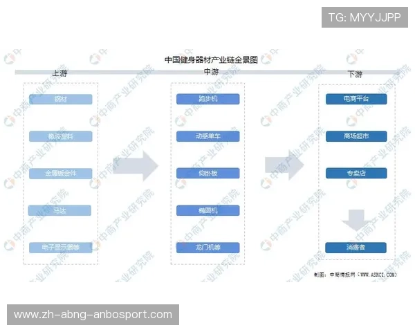 电商健身器材销售现状及热门产品趋势