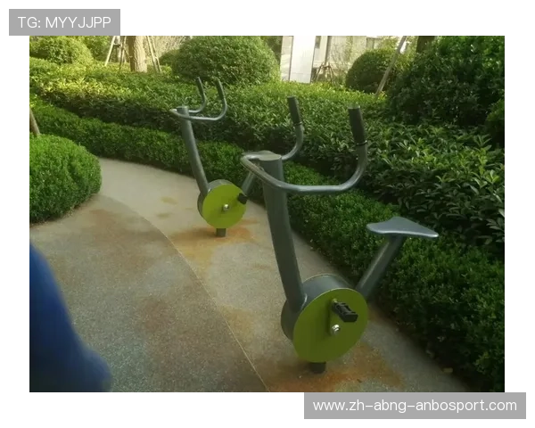 老年人室内健身器材推荐及安全指南