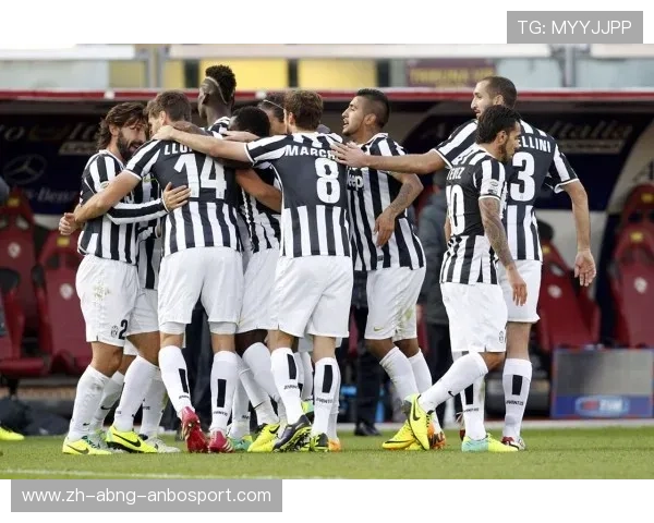 尤文图斯意甲球队贴纸大全及俱乐部文化解读